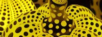 Japanese events festivals Yayoi Kusama: Infinity Mirrors is SOLD OUT. (Same-Day Standby Tickets are Available Everyday Open)