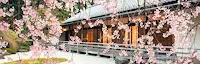 Japanese events venues location festivals 2024 Spring and Cherry Blossom Watch, Portland Japanese Garden (The Arrival of Spring is Often Heralded by the Awakening of Our Cherry Blossoms)