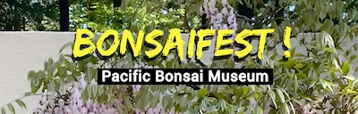 2024 Bonsai Fest Event (Hundreds of Beautiful Bonsai in an Enchanting, Woodsy Setting) Food, Kid Stations, Shopping..