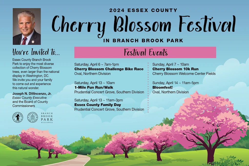 2024 Annual Essex County Cherry Blossom Festival in Branch Brook Park (5,300 Flowering Cherry Blossom Trees in 18 Varieties)