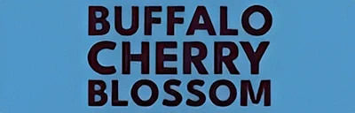 2024 - 11th Annual Buffalo Cherry Blossom Festival Event, Buffalo’s Japanese Garden in Delaware Park (Food, Performers, Tea Ceremony, Activities..)