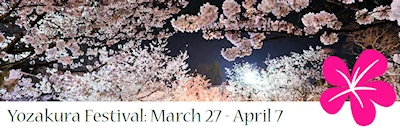 Japanese events festivals 2024 Yozakura Festival: Cherry Blossom Viewing in the Daytime  (March 27 - April 7) Gresham Japanese Garden