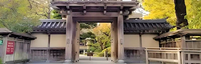 Japanese events festivals 2016 - Cherry Blossom Trees at Japanese Tea Garden Golden Gate Park (Oldest Japanese Garden in the United States)