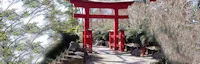 Japanese events venues location festivals Birmingham Botanical Gardens - Japanese Gardens