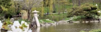 Delaware Park Japanese Garden 