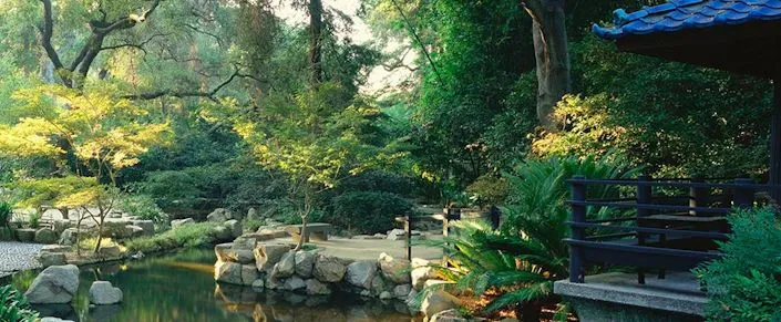 Experience a Walk in a Beautiful Japanese-Style Garden, Tea House