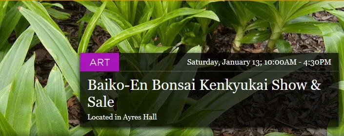 Baiko-En Bonsai Kenkyukai Show & Sale (The Only Show of Deciduous, Miniaturized Trees in the United States) - The Arboretum (2 Days)