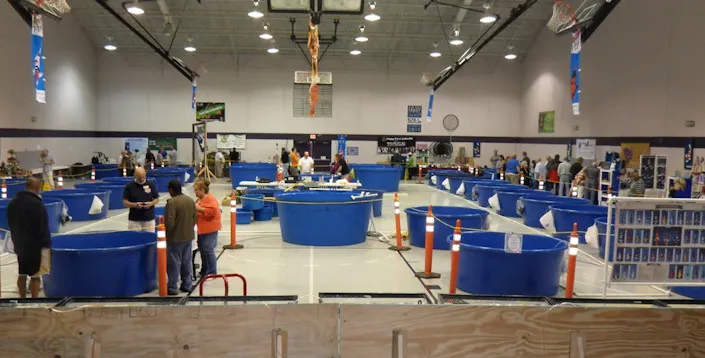 2018 - 7th Annual Regional South Carolina Koi & Goldfish Show | Japanese-City.com