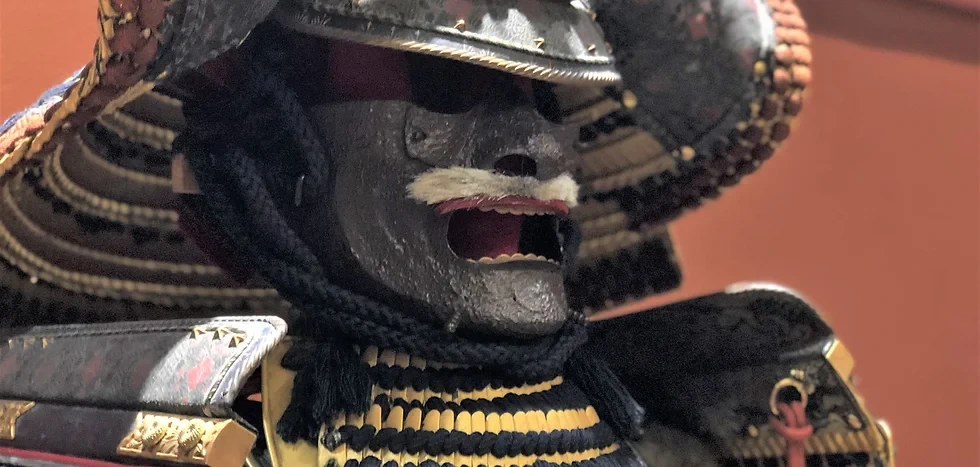 2024 Japan Fair (Celebrates Japanese Art & Culture: Exhibits, Music, Dance..) 20 Performances, 15 Workshops, 20k+ Visitors, 100 Organizations (2 Days) | Japanese-City.com