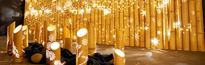 Japanese events venues location festivals 2024 Take Akari: Bamboo Lights: Experience the World of Illuminated Bamboo at the Morikami