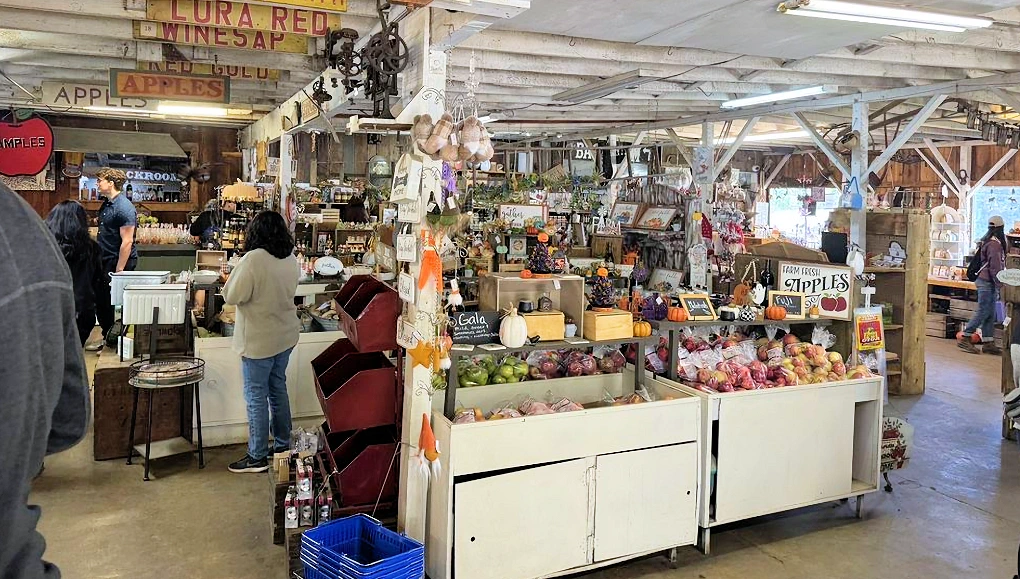 2026 Oak Glen-Apple Season and the Amazing Scenic Car Drive: Pick Your Own Apples, Apple Pie, Hay Ride, Mountain Air, Apple Tasting, Pony Rides.. | Japanese-City.com