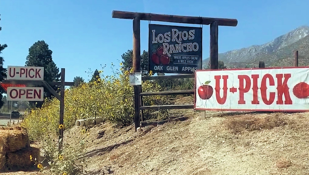 2026 Oak Glen-Apple Season and the Amazing Scenic Car Drive: Pick Your Own Apples, Apple Pie, Hay Ride, Mountain Air, Apple Tasting, Pony Rides.. | Japanese-City.com