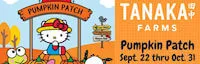 Japanese events festivals 2018 - Tanaka Farms Pumpkin Patch Opens in September (Wagon Rides, Corn Maze, Petting Zoo, Pumpkins..)