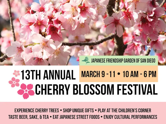 2018 - 13th Annual Cherry Blossom Festival (3 Days) - Experience Cherry Trees, Food Vendors, Sake, Beer & Tea, Cultural Performances & Demonstrations