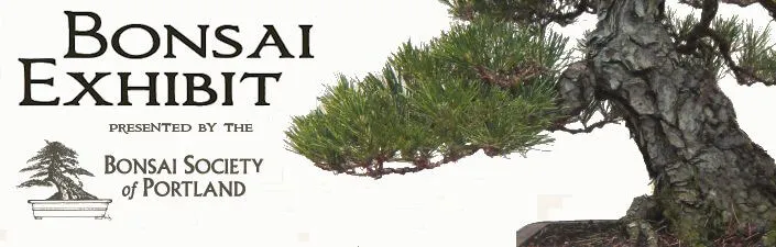 2014 Bonsai Society of Portland Exhibition