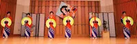 Japanese events venues location festivals 2016 Cherry Blossom Festival Fort Wayne (Exotic Instruments, Chopsticks, Sushi, Samurai, Martial Arts, Tea Ceremony, Origami, Silk, Anime, etc.)