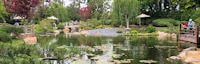 Japanese events venues location festivals 2016 - 35th Anniversary Celebration (Evening of Live Music, Food Stations, Silent Auction) Earl Burns Japanese Garden