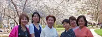 Japanese events venues location festivals [CANCELED] 2020 Annual Subaru Cherry Blossom Festival (Celebrating Japanese Culture: Live Music, Dance, Martial Arts, Fashion Show, Crafts..) (2 Days)