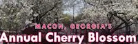 Japanese events festivals 2014 International Annal Cherry Blossom Festival (Over 300,000 Yoshino Cherry Trees Bloom for 10 days)