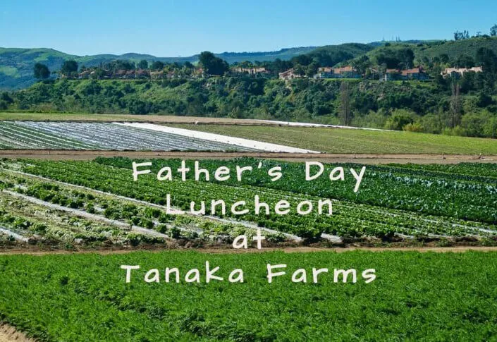 2018 Father's Day Luncheon at Tanaka Farms (2 Seatings: 10 am and 1:30 pm) | Japanese-City.com