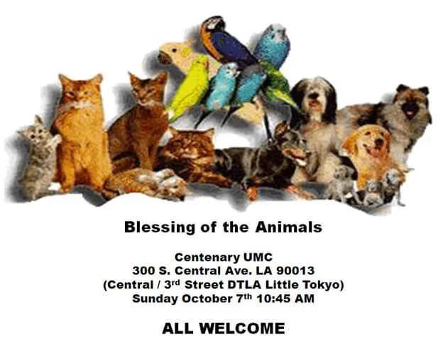 2018 Little Tokyo Blessing of the Animals and Picture Day - All Welcome | Japanese-City.com