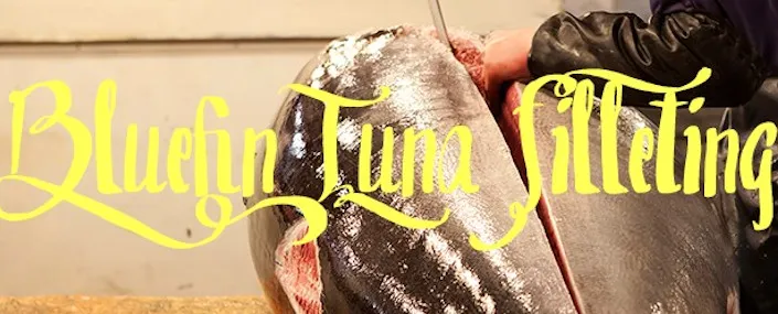 2018 Bluefin Tuna Filleting - Mitsuwa