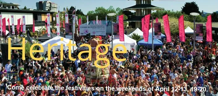 2014 Annual 47th Northern California Cherry Blossom Festival (2 Days) | Japanese-City.com