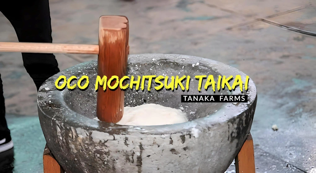 2024 OCO Mochitsuki Taikai (In Ancient Japan, Mochitsuki Taikai, Dates Back Centuries-An Integral Part of Japanese Society) Tanaka Farms | Japanese-City.com