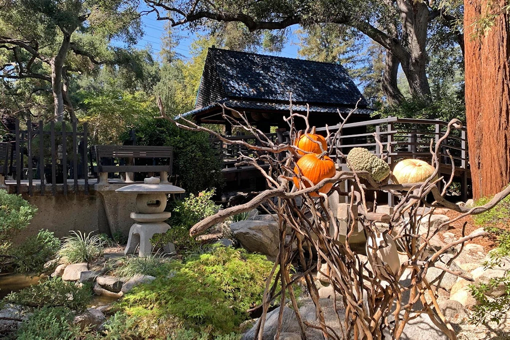 2023 Japanese Garden Ikebana Display Event - Descanso Gardens (October 7-8, 2023)