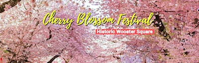 2024 - 51st Annual Celebrate the Cherry Blossoms (Live Concert & Food Trucks, 72 Yoshino Japanese Cherry Blossom Trees..) Historic Wooster Square 