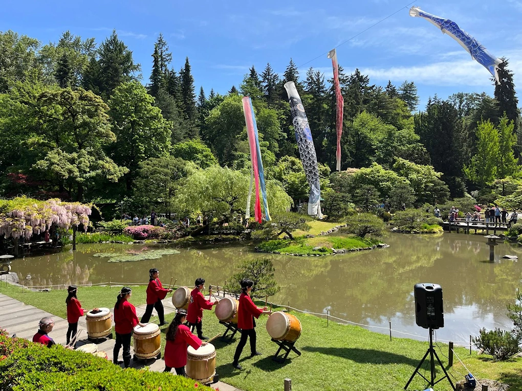 2024 Family Saturday: Koi Day Event (Live Taiko, Feed Koi Fish, Presentation..) Seattle Japanese Garden