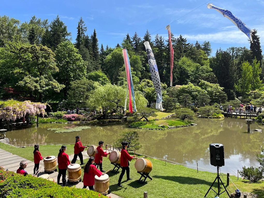 2024 Family Saturday: Koi Day Event (Live Taiko, Feed Koi Fish, Presentation..) Seattle Japanese Garden | Japanese-City.com