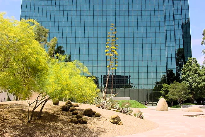 2025 Celebrating Noguchi Garden’s: A Hidden Oasis Among High Rise Buildings Using Natures Elements: Rock, Water, Tree.. Free | Japanese-City.com