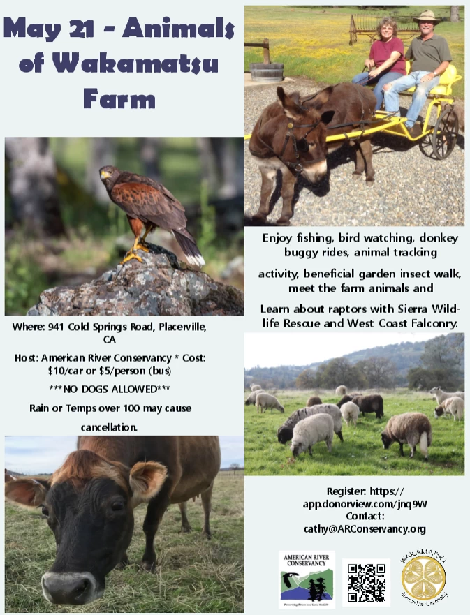 2022 Animals of Wakamatsu Farm (Donkey Cart Rides, Falconry, Bird Watching, Animal Tracking, Sheep Petting, Fishing & Learning About Garden Allies..) | Japanese-City.com