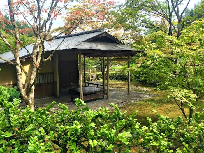 2024 Tea Ceremony Event: Introduction To Chanoyu (The Art of Tea Ceremony Practiced in Japan for Centuries)