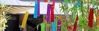 Japanese events venues location festivals 2025 Tanabata, The Star Festival Event (This Ancient Tradition of Writing Wishes or Prayers Comes From the Edo Period)
