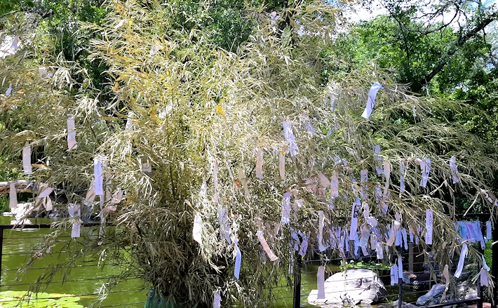 2024 Tanabata Wish-Making Station Event - Join Us at the Japanese Garden for this Colorful Celebration (July 1 - 7, 2024) | Japanese-City.com
