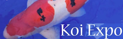 Japanese events venues location festivals 2024 Gresham Japanese Garden Koi Expo Event (Showcasing & Celebrating the Beauty and Cultural Significance of Koi Fish)