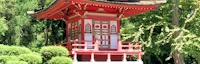 Japanese events venues location festivals 2022 San Francisco Tea Garden Restore 127 Year-Old Pagoda, Golden Gate Park, SF