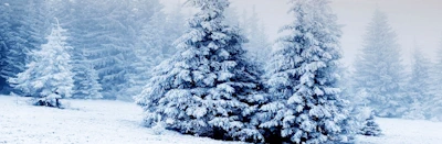 Japanese events venues location festivals 2025 Christmas Day Tips - Last Minute Ideas (Top Presents and Gifts for Your Love Ones)