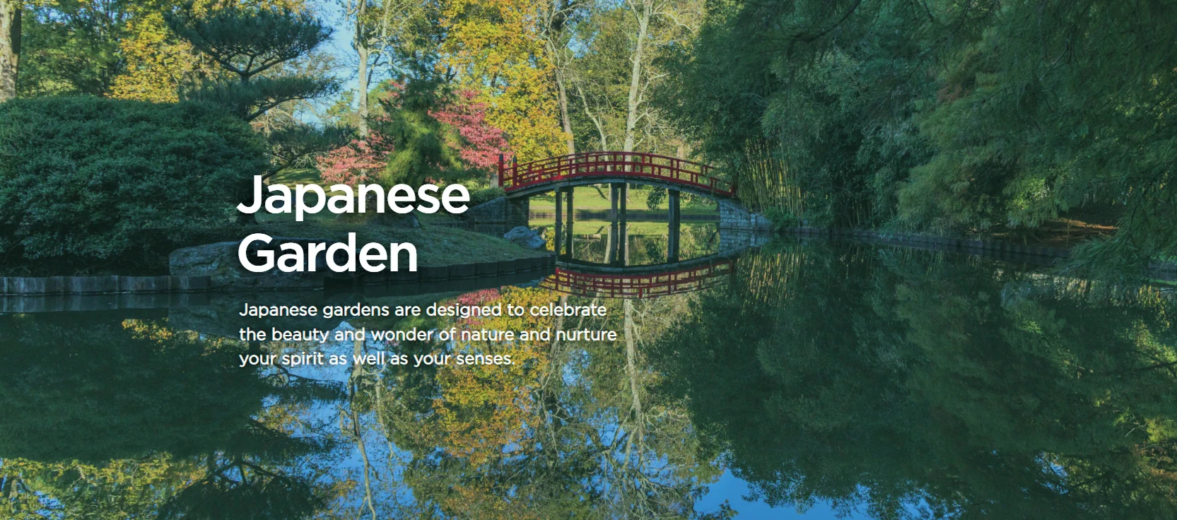 Memphis Botanic Garden - Japanese Garden Celebrates 70 Years 
