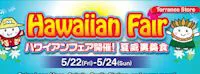 Japanese events festivals 2015 Hawaiian Fair - Most Popular Delicious Hawaiian Cuisine Dishes - Torrance