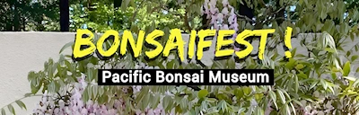 Japanese events festivals 2024 - 5th Annual Bonsai Fest Event (Hundreds of Beautiful Bonsai in an Enchanting, Woodsy Setting) Food, Kid Stations, Shopping..