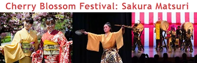 Japanese events venues location festivals 2023 Sakura Matsuri: Cherry Blossom Festival Event (Taiko, Okinawan Dance, Brush Calligraphy, Japanese Games, Origami..) Stony Brook University