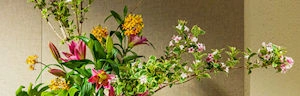 Japanese events venues location festivals 2023 Celebrate Mother’s Day & Asian American-Pacific Islander Heritage Month (Explore the Japanese Art of Flower Arranging Known as Ikebana!)