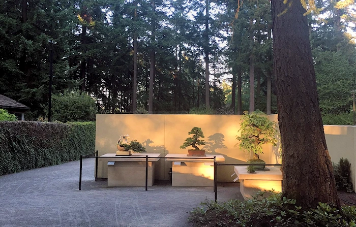 2023 A Summer Bonsai Solstice - Stroll, Meet-Up with Friends, Snap a Gorgeous Photo, & Breath in Fresh Summer Air | Japanese-City.com