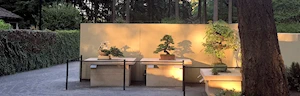 Japanese events venues location festivals 2023 A Summer Bonsai Solstice - Stroll, Meet-Up with Friends, Snap a Gorgeous Photo, & Breath in Fresh Summer Air