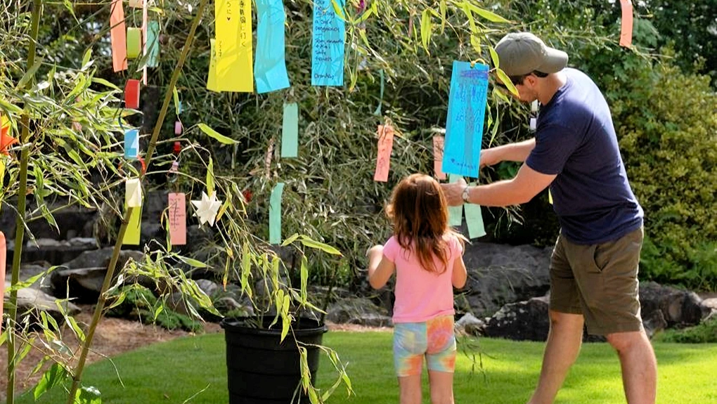 2025 Tanabata (Star Festival) at Birmingham Botanical Gardens (Enjoy Japanese Cultural Activities, Japanese Tradition Making  Wishes & Hanging..) 2025 Tanabata (Star Festival) at Birmingham Botanical Gardens (Enjoy Japanese Cultural Activities, Japanese Tradition Making  Wishes & Hanging..) | Japanese-City.com