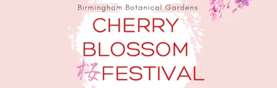 2024 - 17th Annual Cherry Blossom Festival (Explore the Japanese Culture: Cultural Activities, Delicious Food, Music, & martial Art..) Birmingham