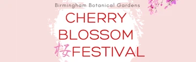 Japanese events venues location festivals 2025: 18th Annual Sakura Cherry Blossom Festival (Explore the Japanese Culture: Cultural Activities, Delicious Food, Music, & Martial Art) Birmingham